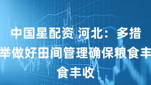 中国星配资 河北：多措并举做好田间管理确保粮食丰收