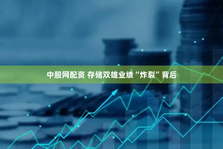中股网配资 存储双雄业绩“炸裂”背后